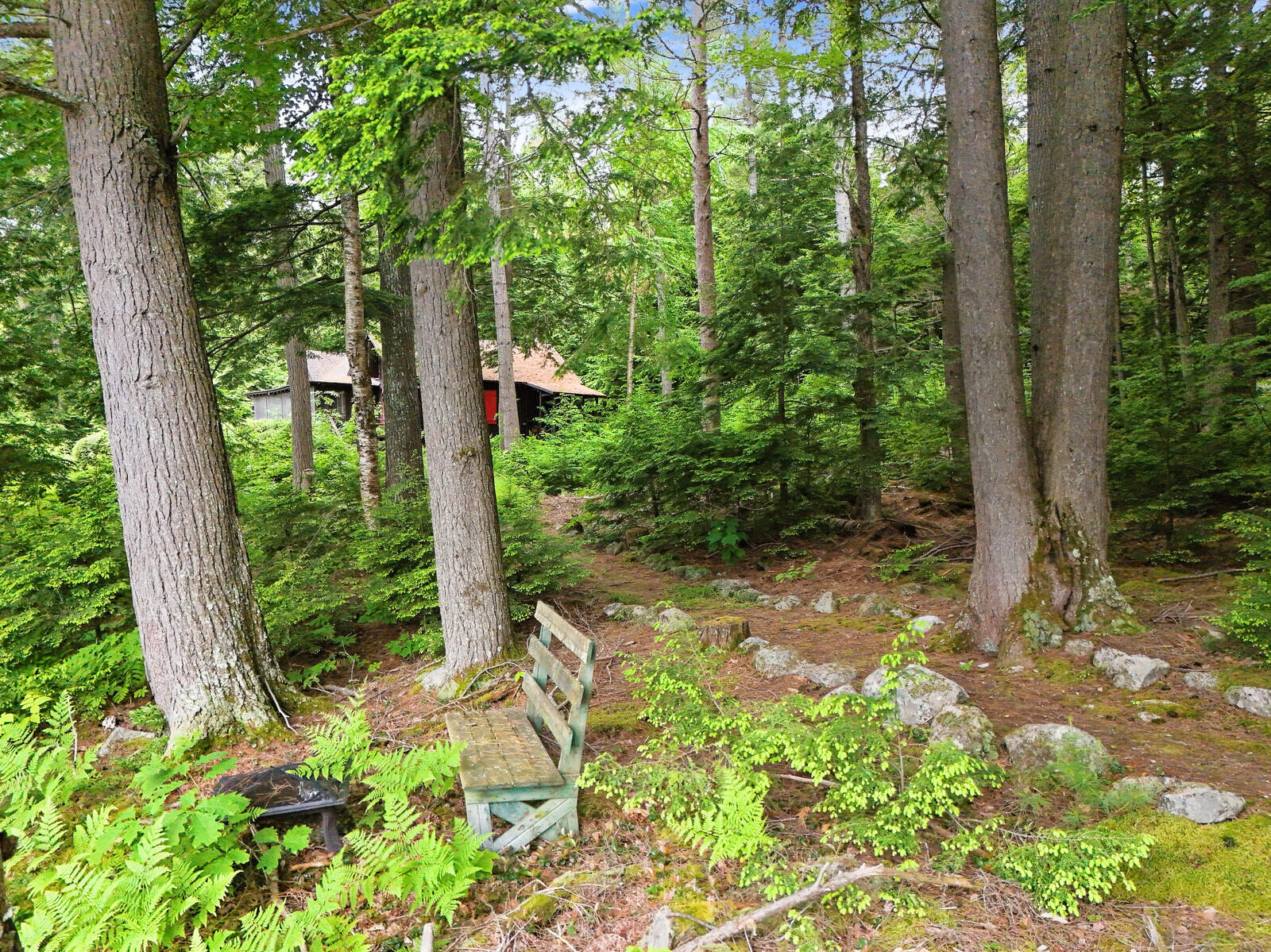 90 Quaglia Estates Rome, ME 04963 - Photo 81 of 85 39_DJI_20240610161559_0209_D_DxO_mls