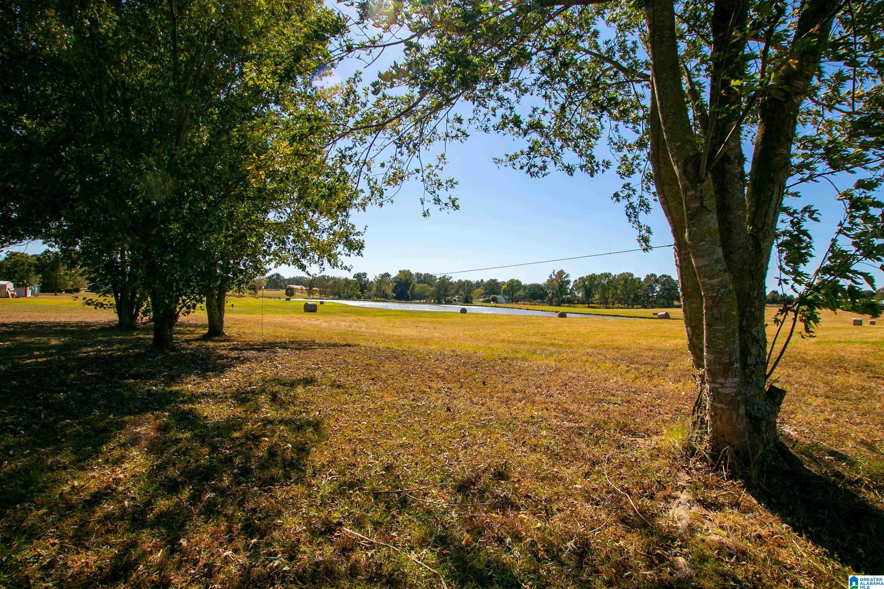 175 River Bend Road Altoona, AL 35952 - Photo 39 of 40