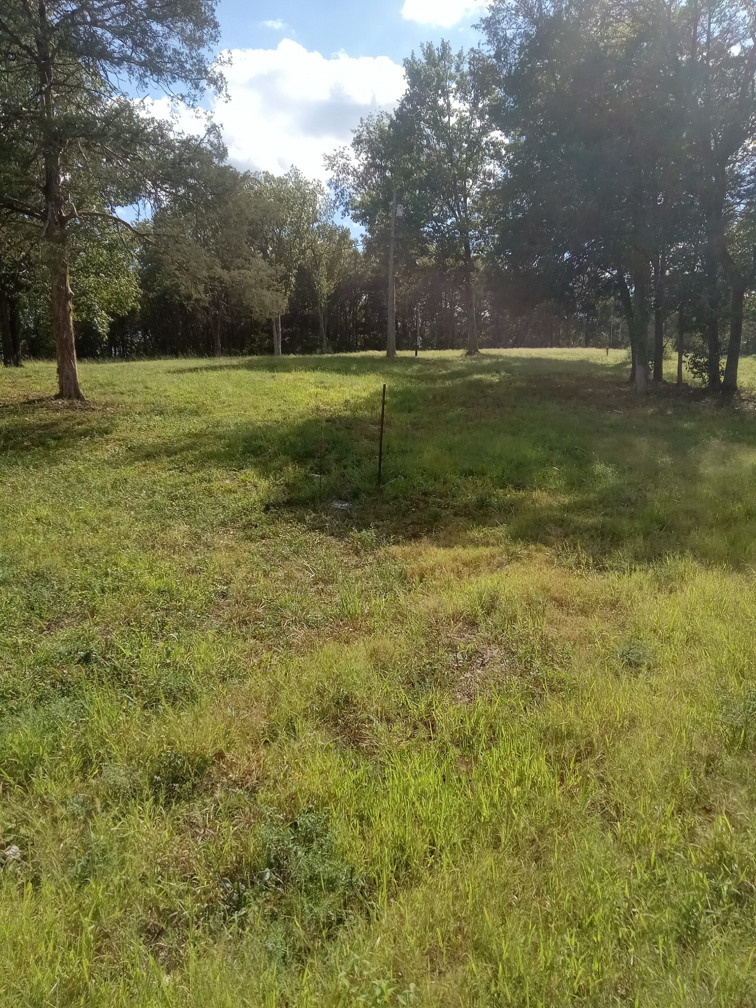 565 Old Railroad Bed Road Fayetteville, TN 37334 - Photo 1 of 11 a view of outdoor space with trees all around