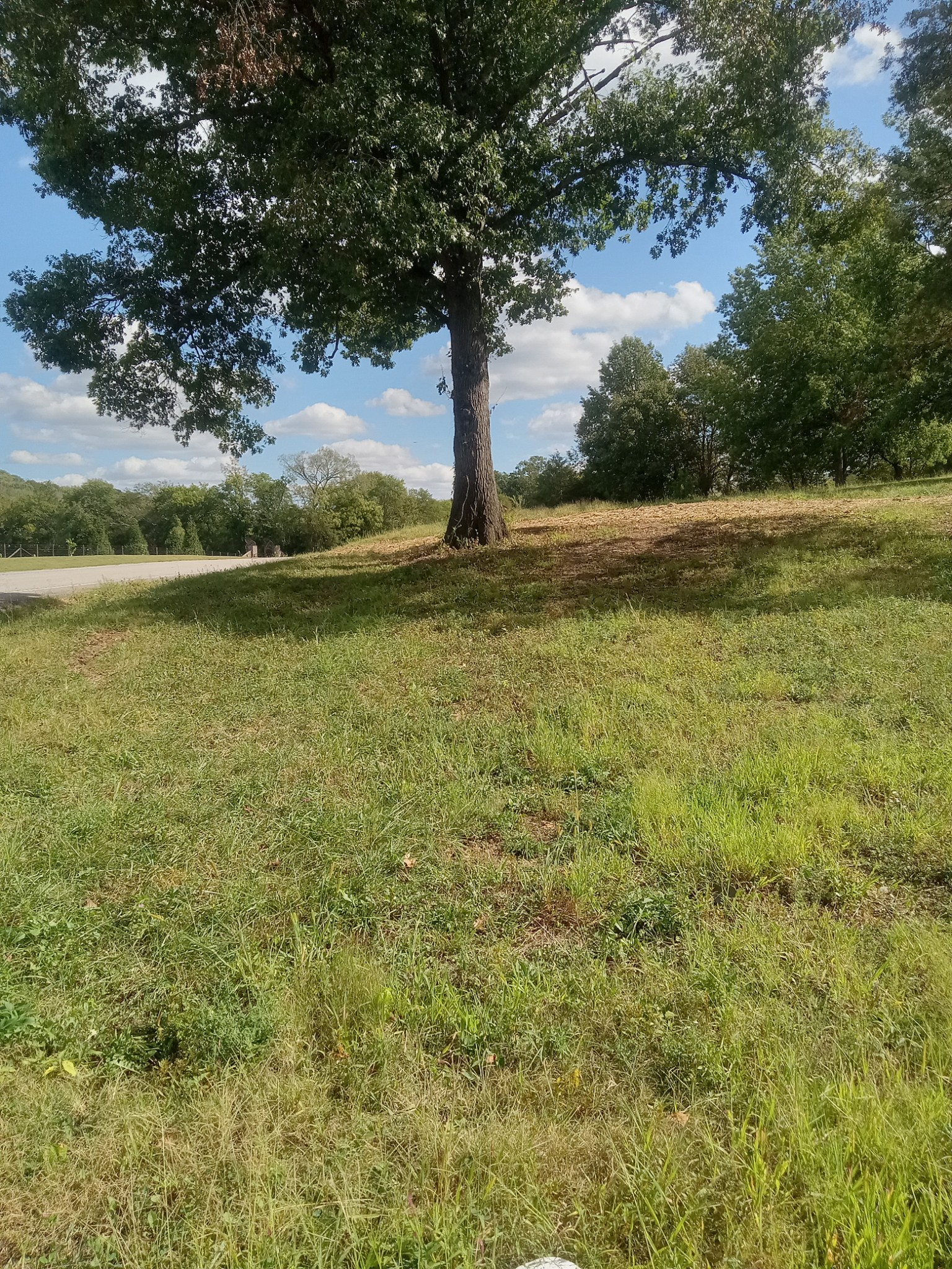 565 Old Railroad Bed Road Fayetteville, TN 37334 - Photo 2 of 11 a view of a lake with a yard