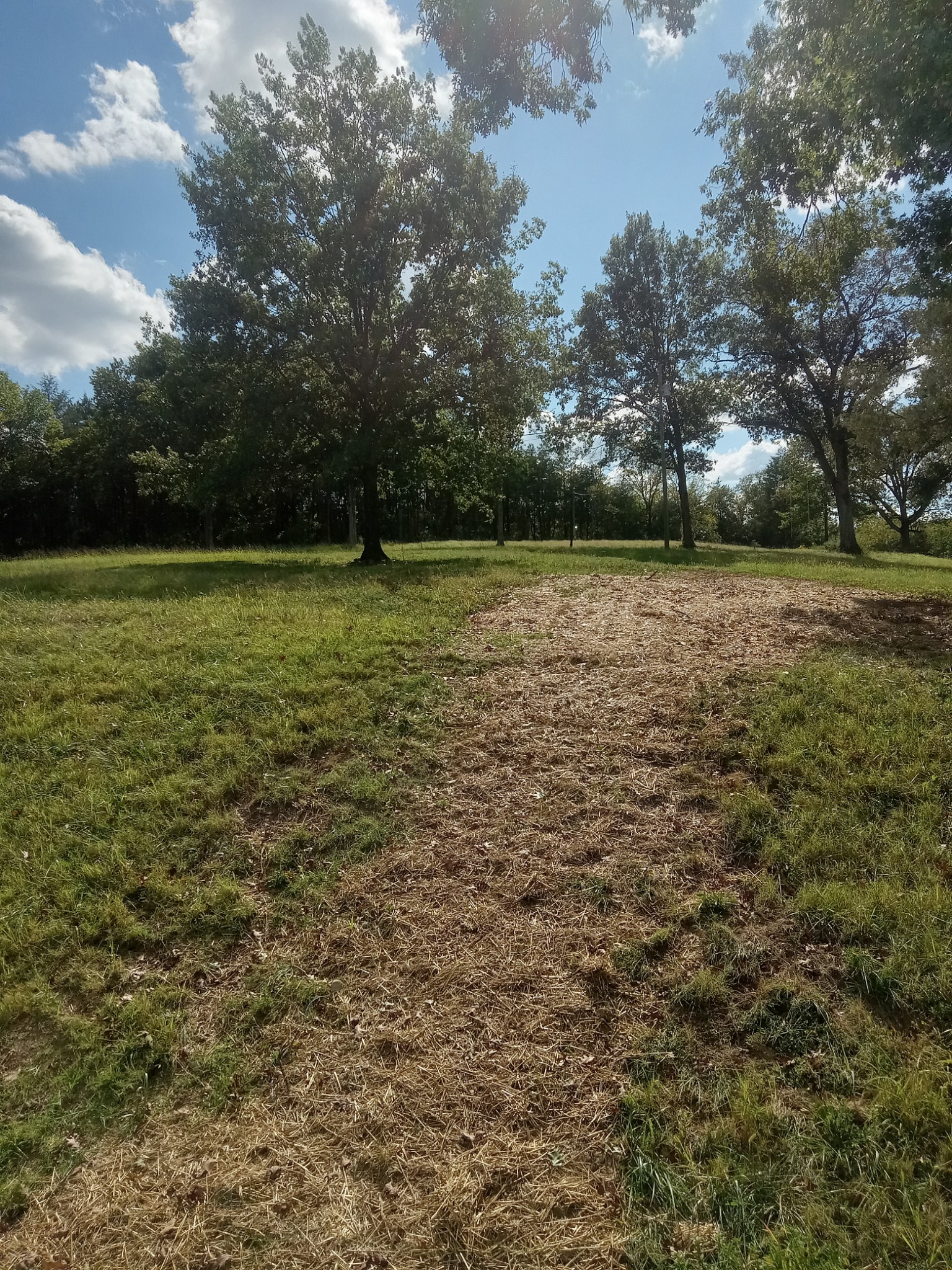 565 Old Railroad Bed Road Fayetteville, TN 37334 - Photo 3 of 11 a view of a yard