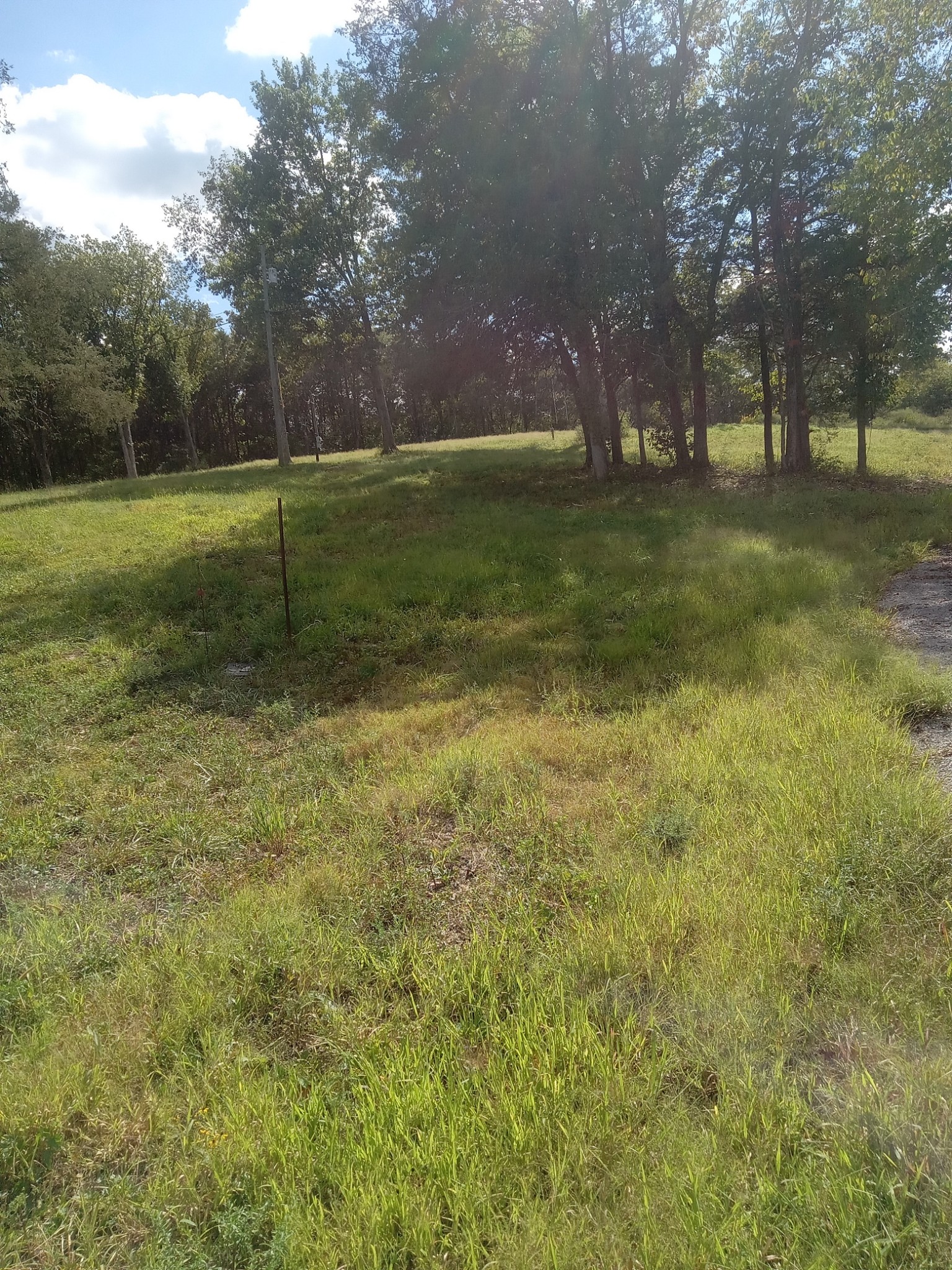 565 Old Railroad Bed Road Fayetteville, TN 37334 - Photo 4 of 11 a view of a field with trees