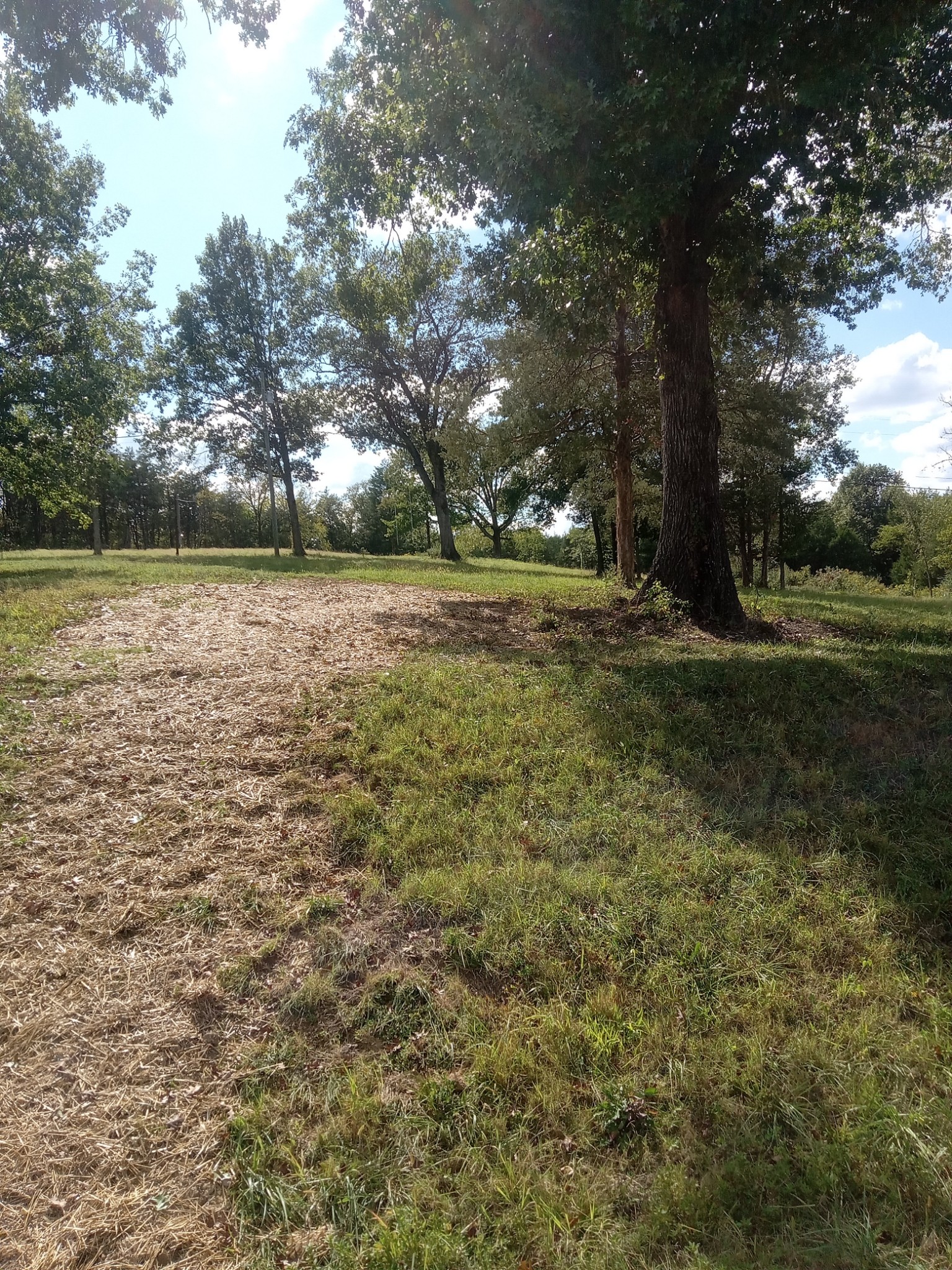 565 Old Railroad Bed Road Fayetteville, TN 37334 - Photo 6 of 11 a view of outdoor space with trees