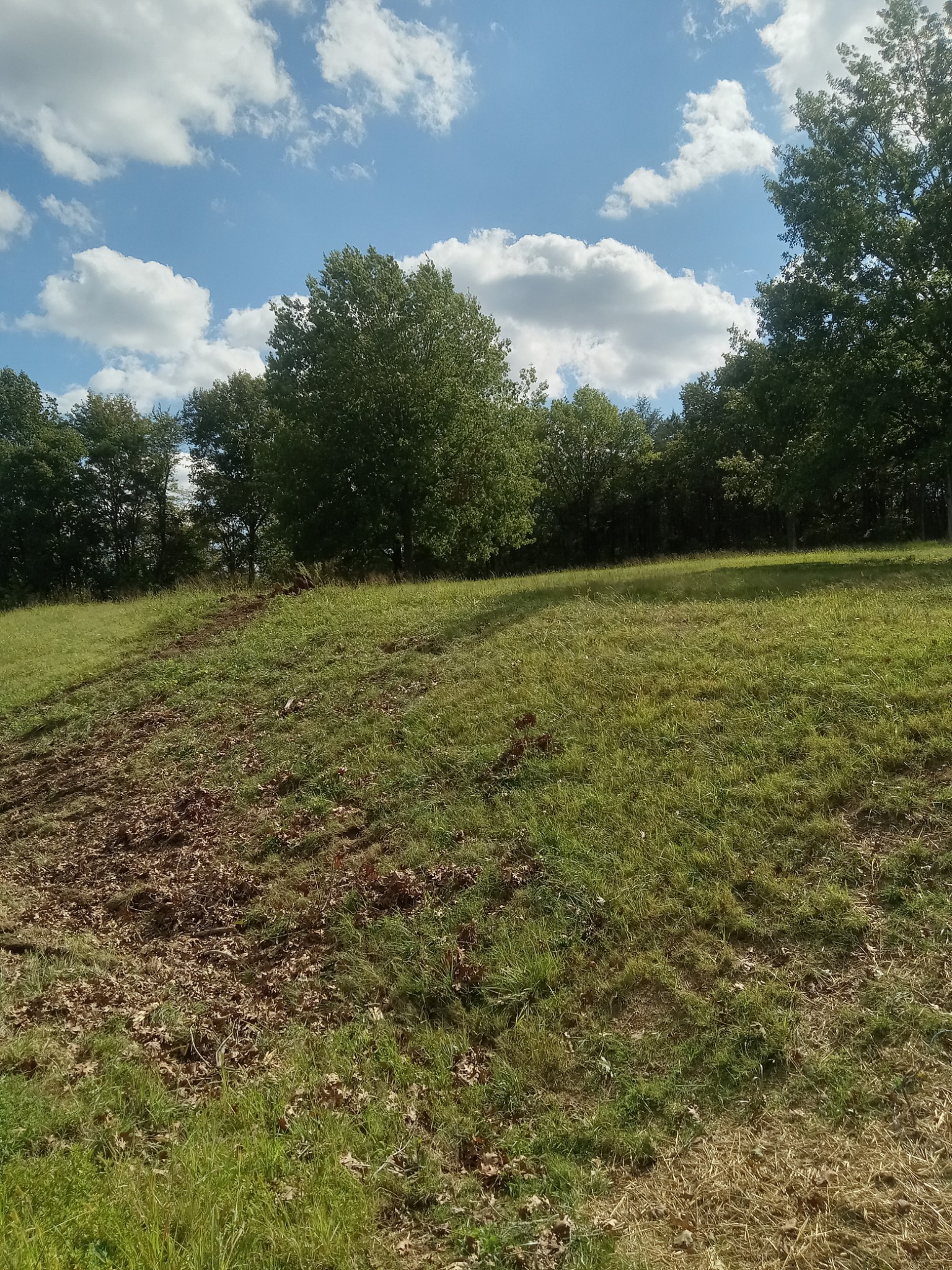 565 Old Railroad Bed Road Fayetteville, TN 37334 - Photo 8 of 11 a view of outdoor space and yard