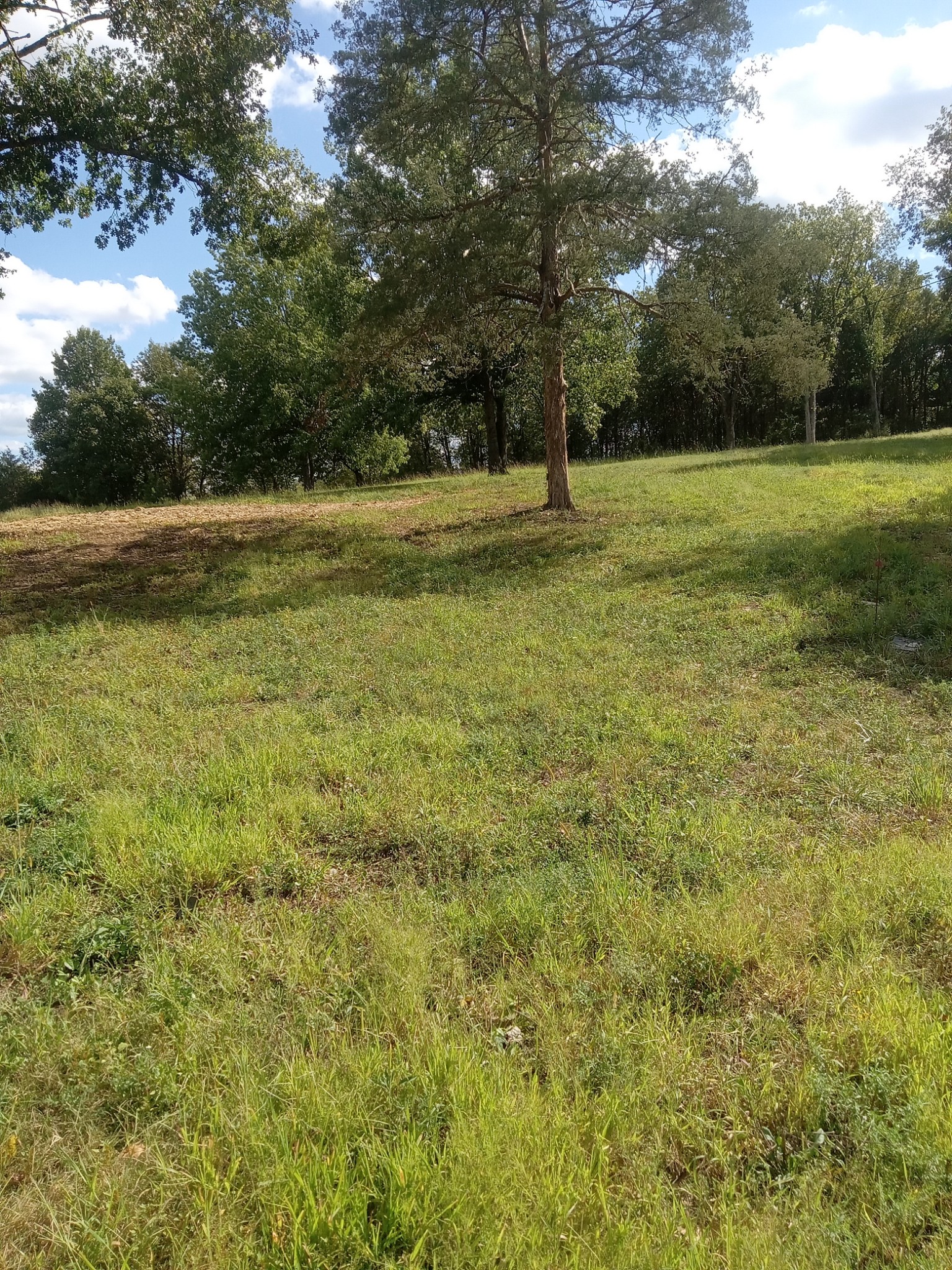 565 Old Railroad Bed Road Fayetteville, TN 37334 - Photo 9 of 11 a view of outdoor space with trees all around