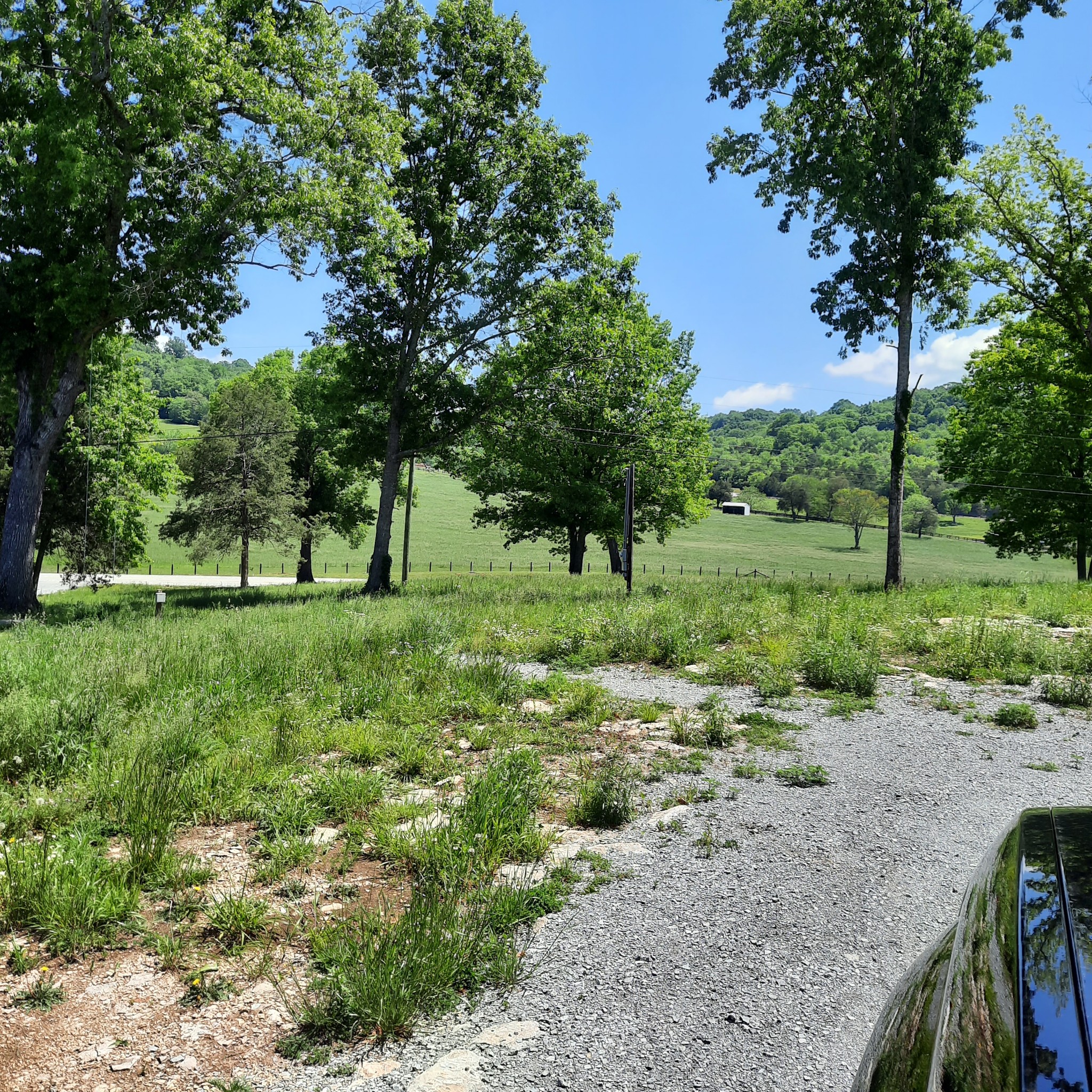 565 Old Railroad Bed Road Fayetteville, TN 37334 - Photo 10 of 11 a view of grassy field with trees