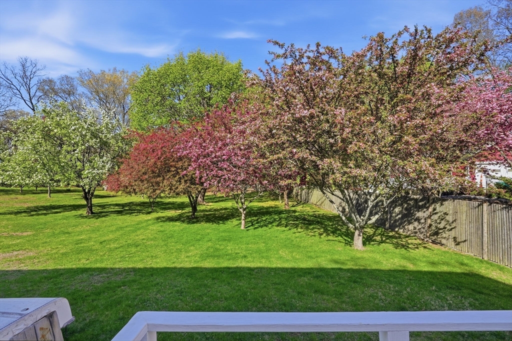 98 Sumner Street Norwood, MA 02062 - Photo 5 of 42
