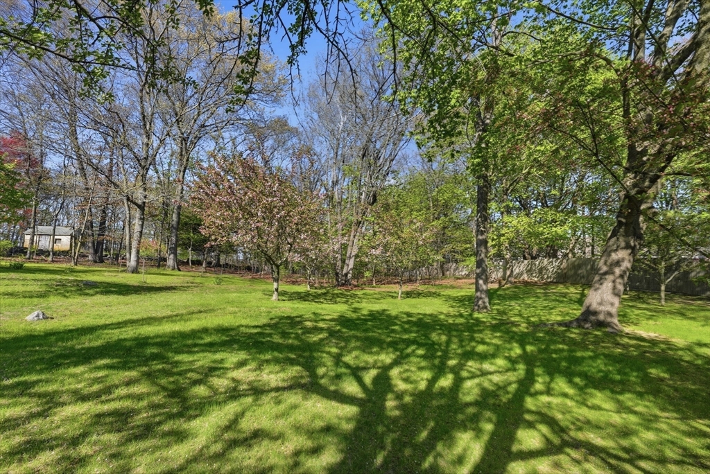 98 Sumner Street Norwood, MA 02062 - Photo 6 of 42