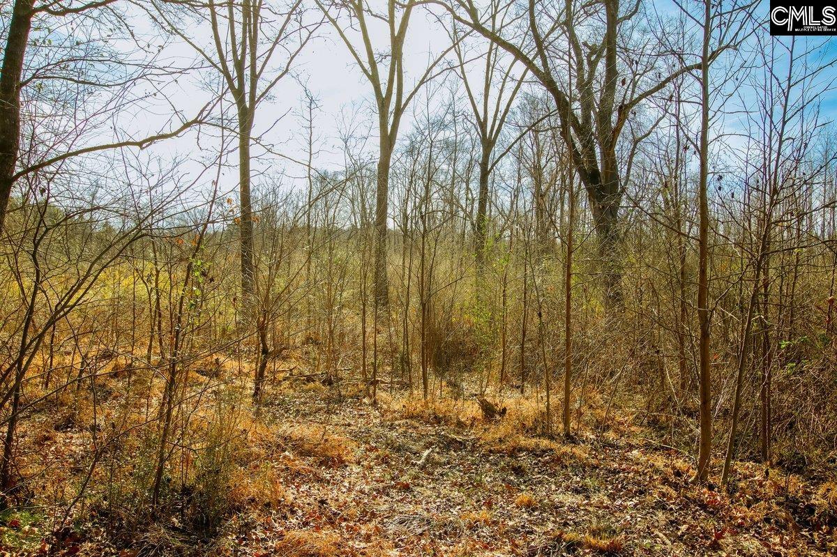561 Church Road Batesburg, SC 29006 - Photo 14 of 24