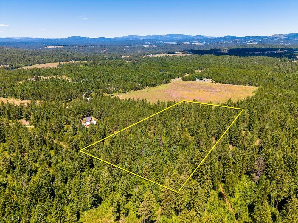 10307 Jasmine Lane Chattaroy, WA 99003 - Photo 2 of 49
