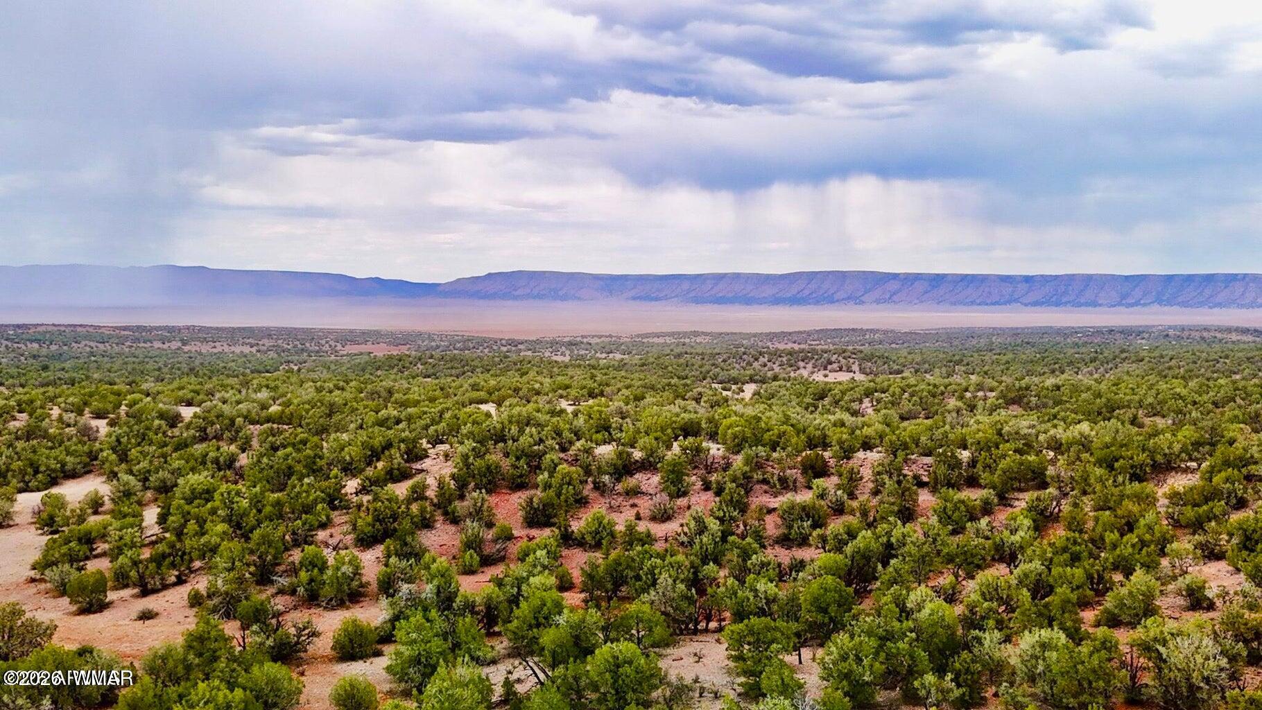 34962 West Hidalgo Road Seligman, AZ 86337 - Photo 26 of 28