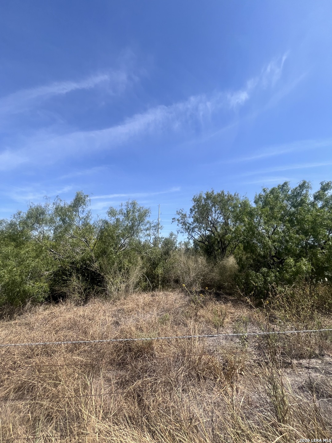 Tbd Corgey Road Pleasanton, TX 78064 - Photo 4 of 9 Gallery Image 4