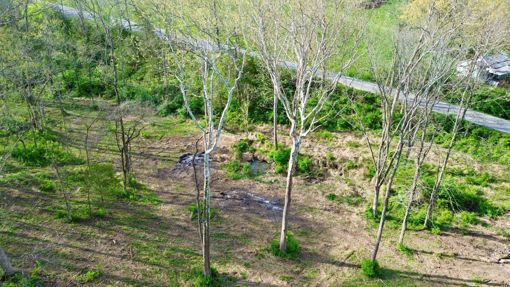 24 East Union Road Carlisle, KY 40311 - Photo 26 of 52 Clearing
