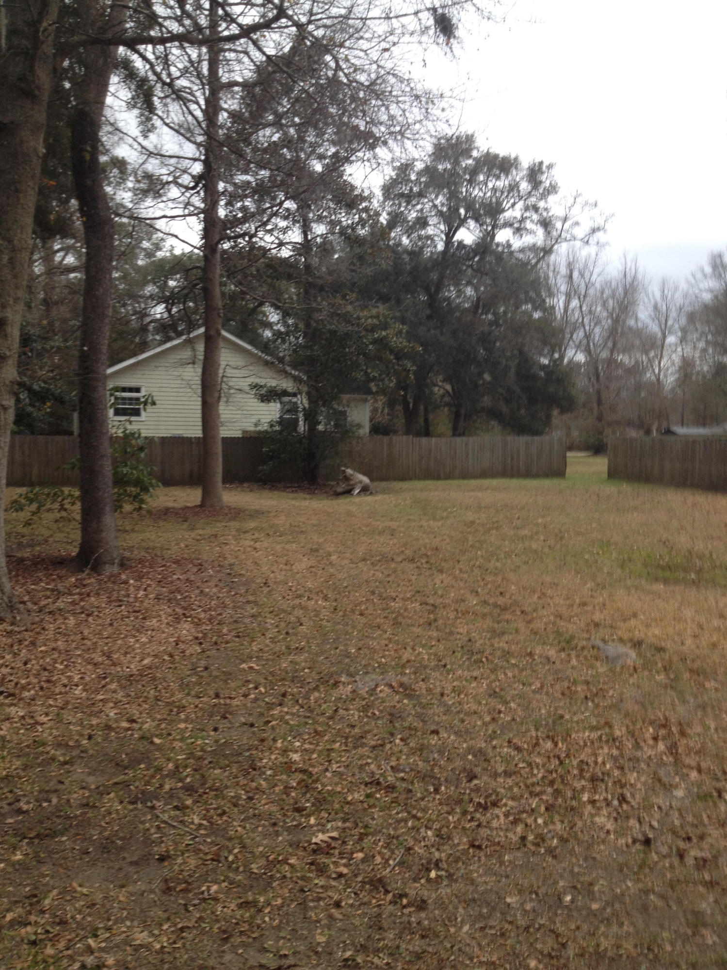 0 Dawson Road Charleston, SC 29412 - Photo 1 of 16 IMG_3522
