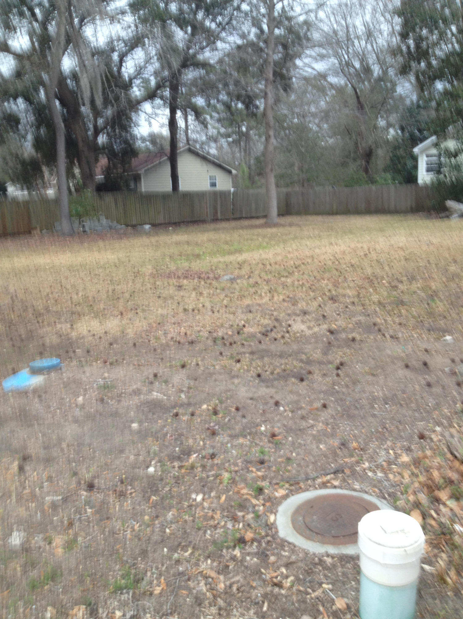 0 Dawson Road Charleston, SC 29412 - Photo 2 of 16 IMG_3523