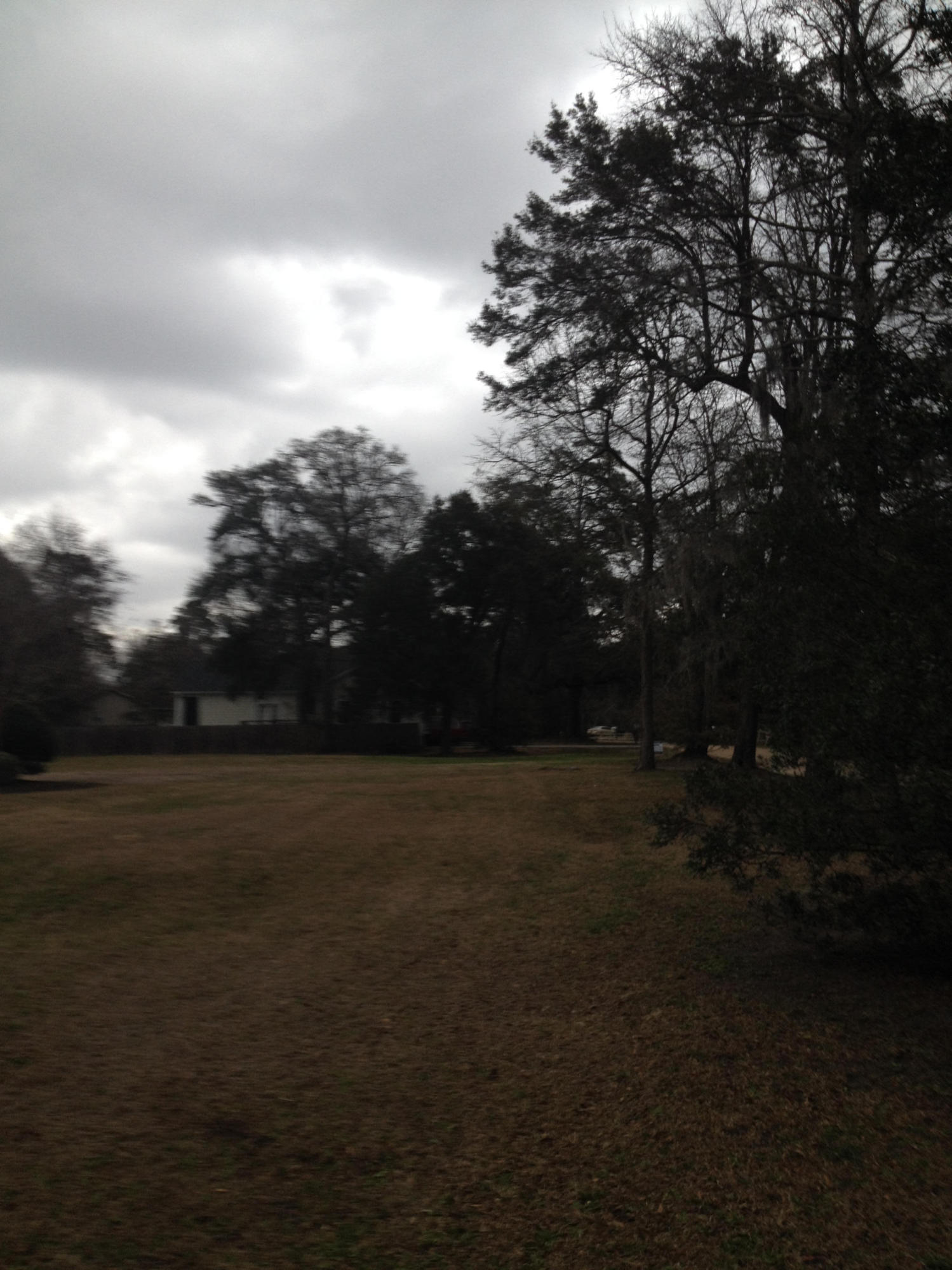 0 Dawson Road Charleston, SC 29412 - Photo 12 of 16 IMG_3534