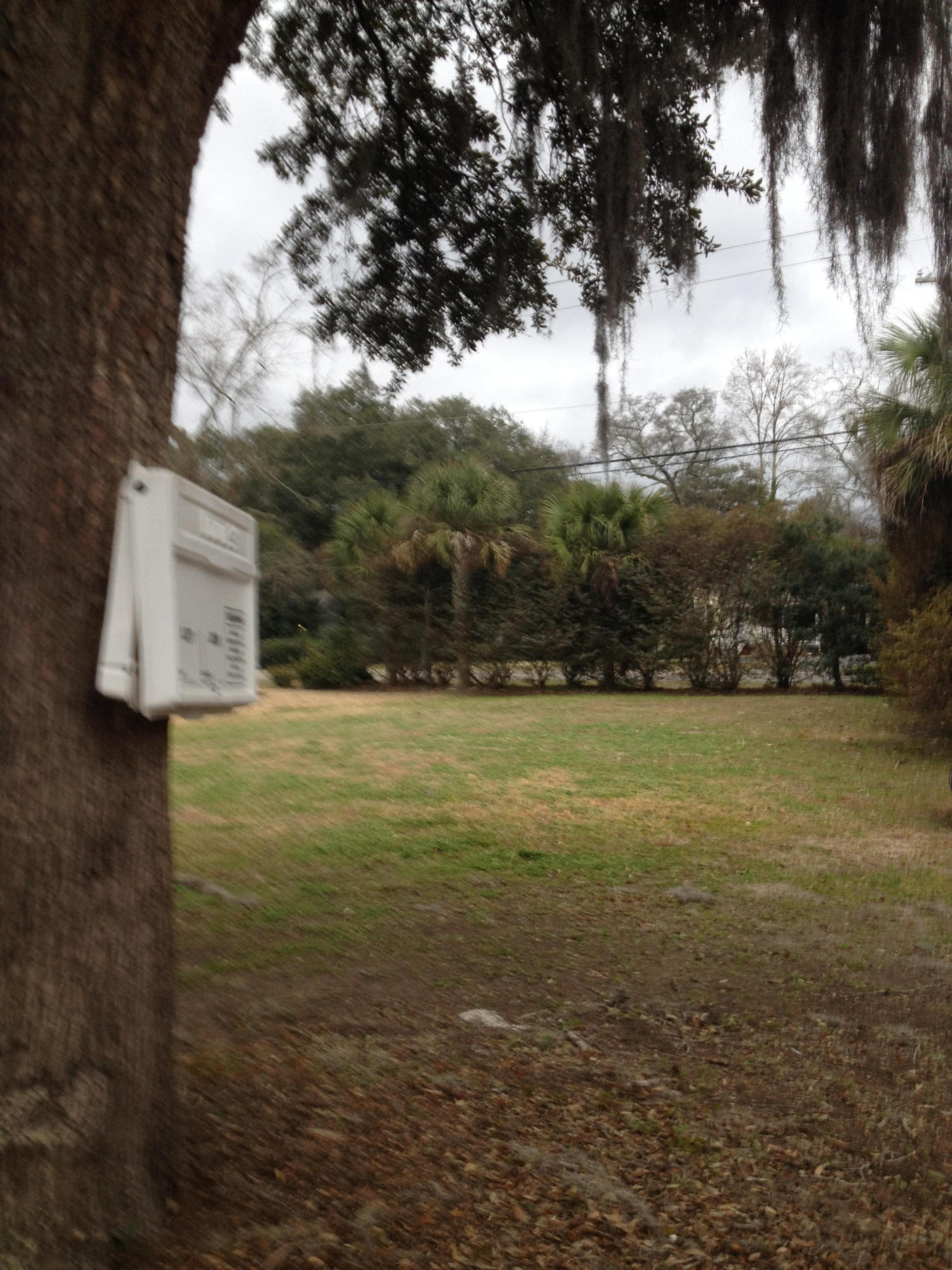 0 Dawson Road Charleston, SC 29412 - Photo 3 of 16 IMG_3524