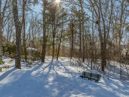 a bench is sitting in the middle of a yard