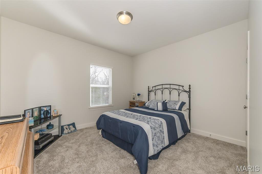 1586 Heritage Valley Drive High Ridge, MO 63049 - Photo 22 of 52