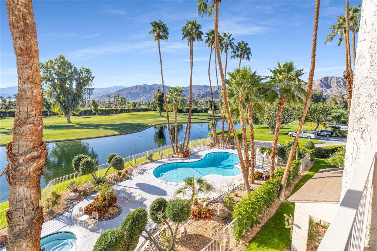 a view of a swimming pool with a garden