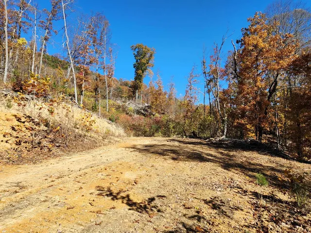 a view of a yard with snow on the road