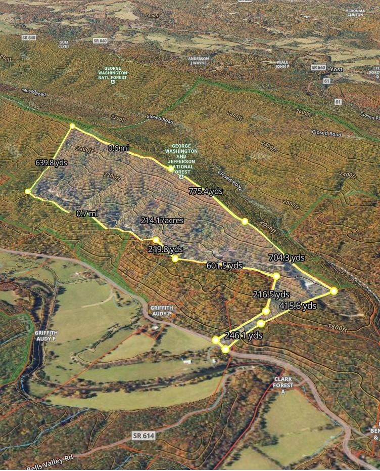 0 Big River Road Goshen, VA 24439 - Photo 12 of 14 a view of beach