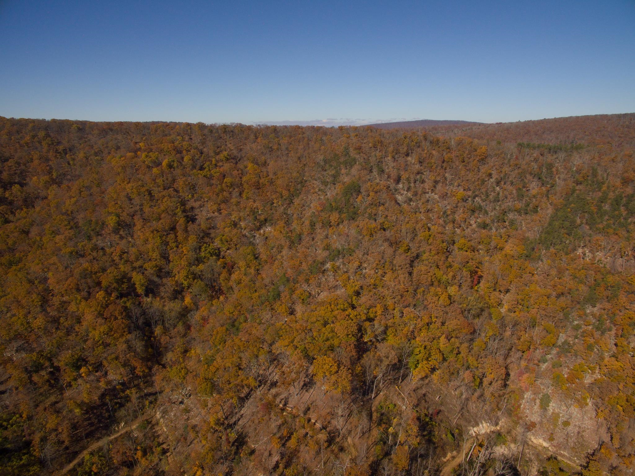 0 Big River Road Goshen, VA 24439 - Photo 4 of 14 a view of a sky