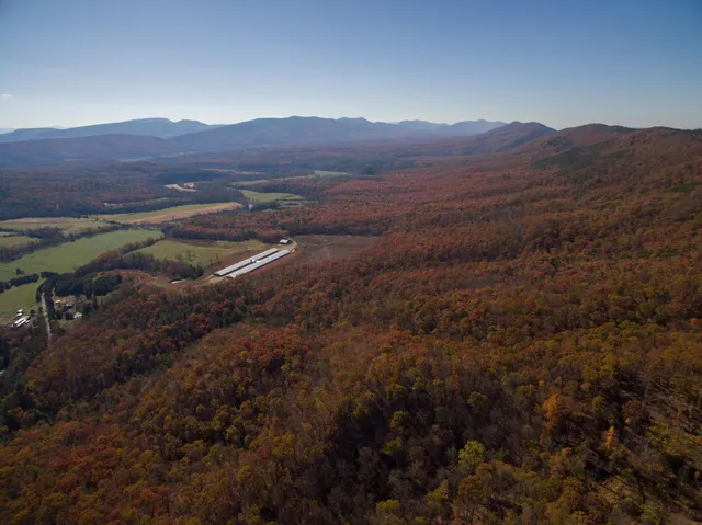 a view of a backyard with wooden fence