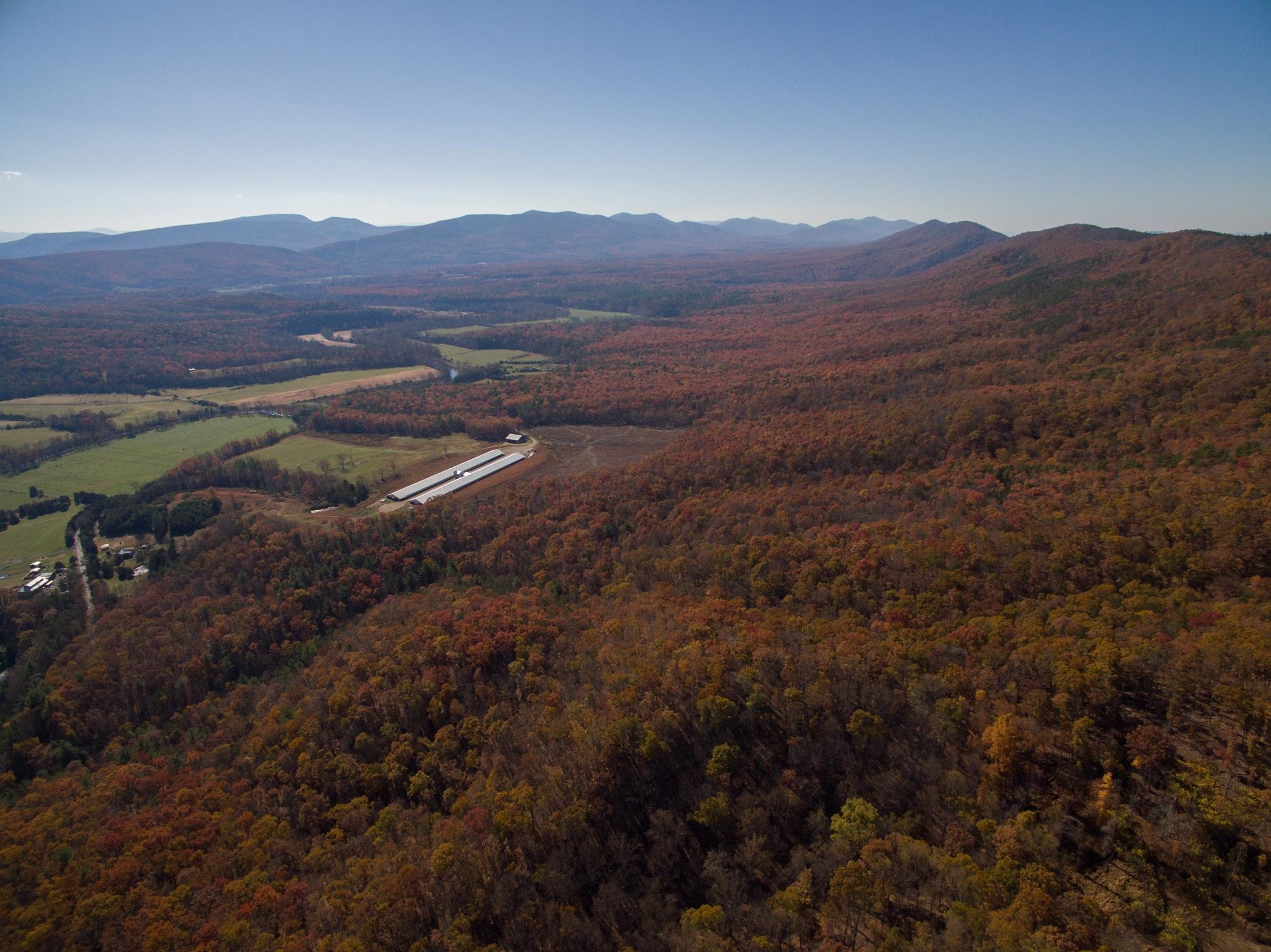 0 Big River Road Goshen, VA 24439 - Photo 7 of 14 a view of a backyard with wooden fence