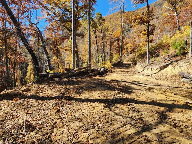 a view of a backyard of the house