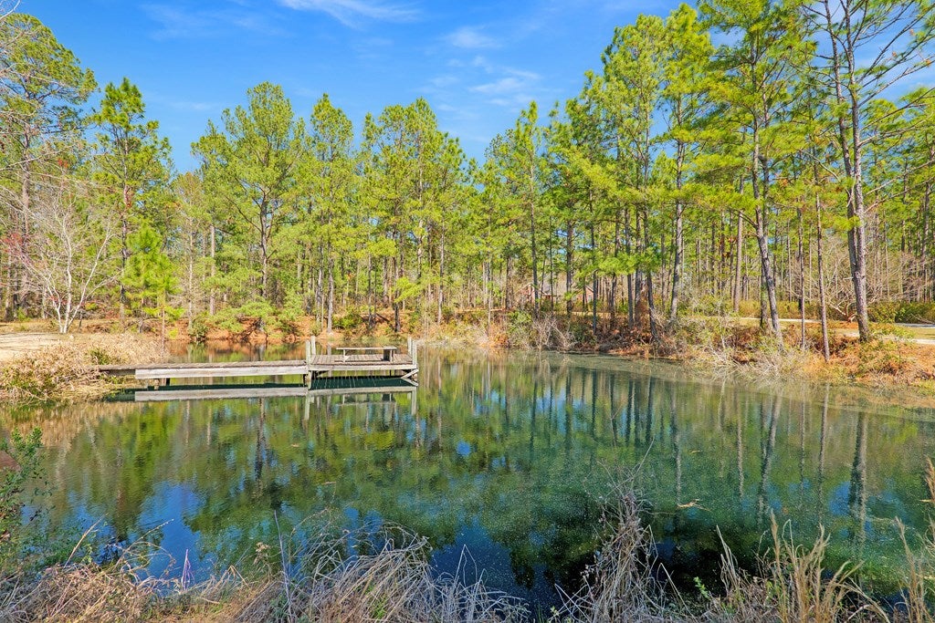 4938 Snake Nation Road Hahira, GA 31632 - Photo 73 of 85 Gallery Image 73