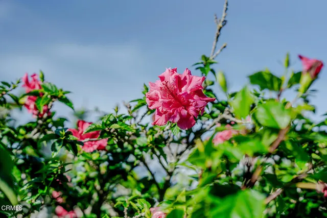 $1,599,000 | 5124 Beachcomber Street, Oxnard, CA 93035