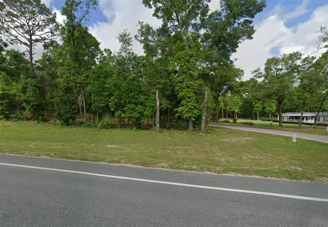 a view of a field with a trees