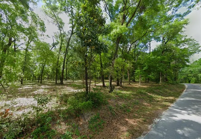 a big yard with lots of green space and trees around