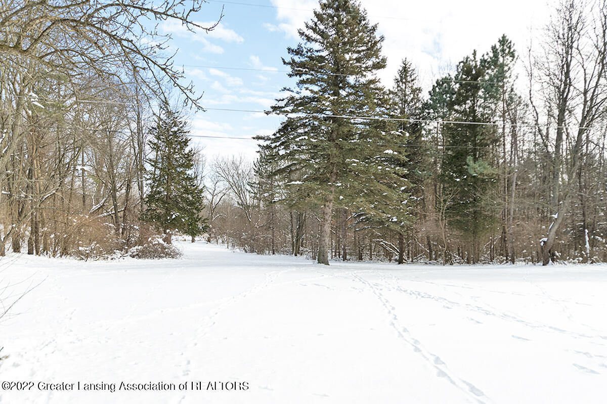 2956 Dobie Road Mason, MI 48854 - Photo 46 of 66 _DSC1393