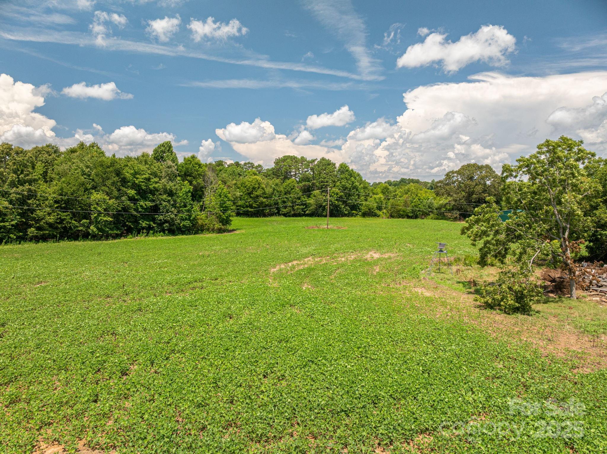 0 Rockdale Road Vale, NC 28168 - Photo 5 of 9 Gallery Image 5