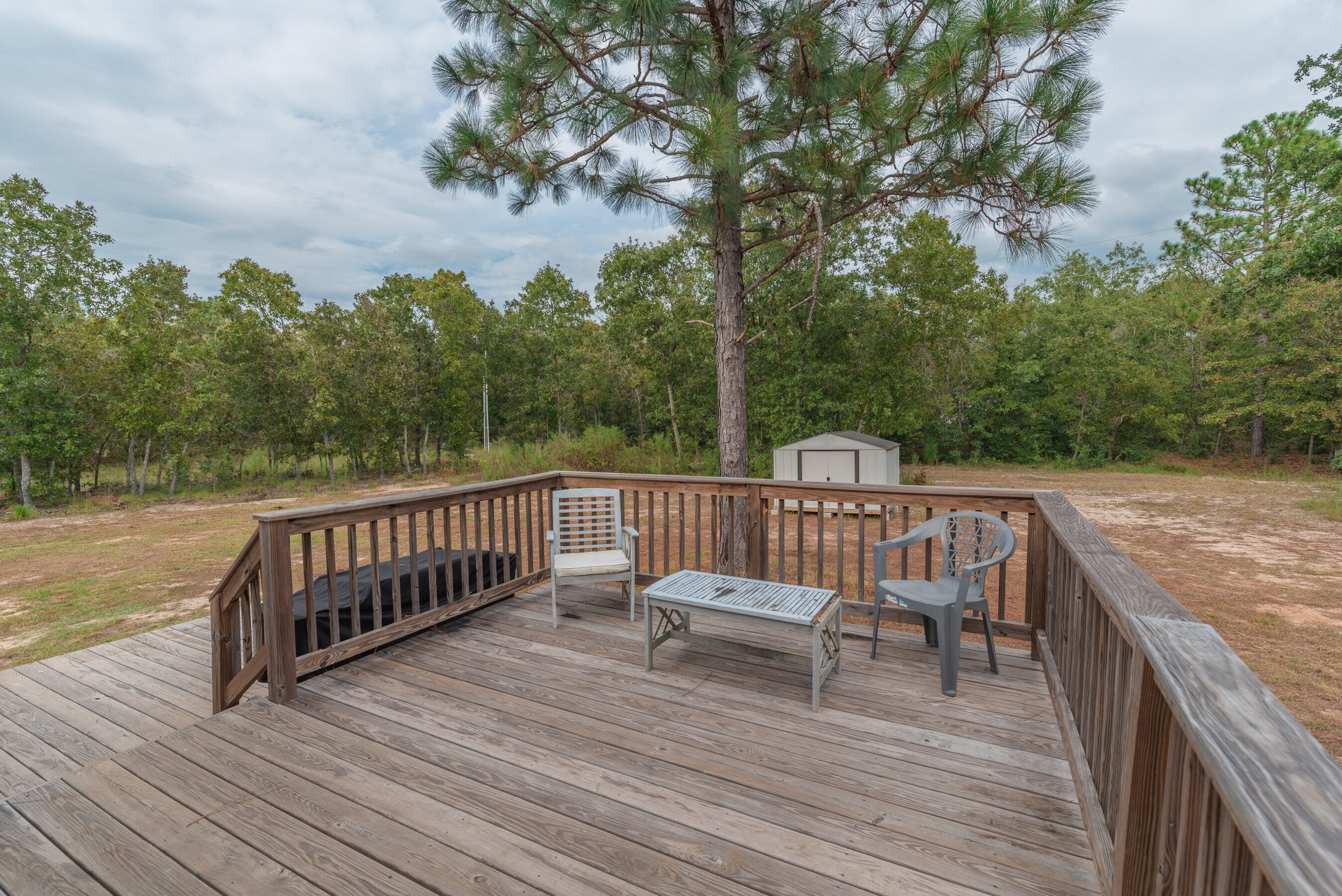 327 Autrey Lane Windsor, SC 29856 - Photo 36 of 39 Gallery Image 36