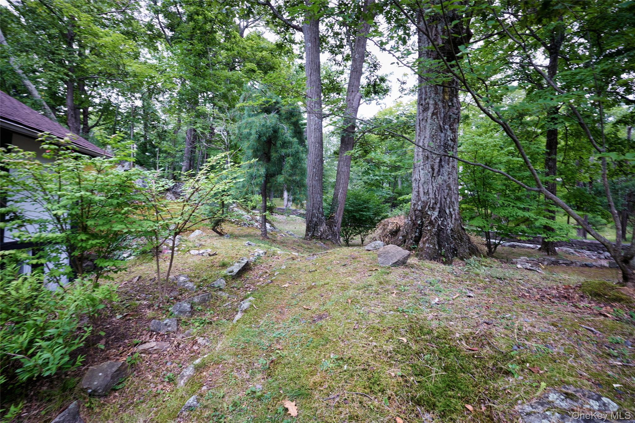 93 Circuit Road Tuxedo Park, NY 10987 - Photo 30 of 34 View of yard with a view of trees