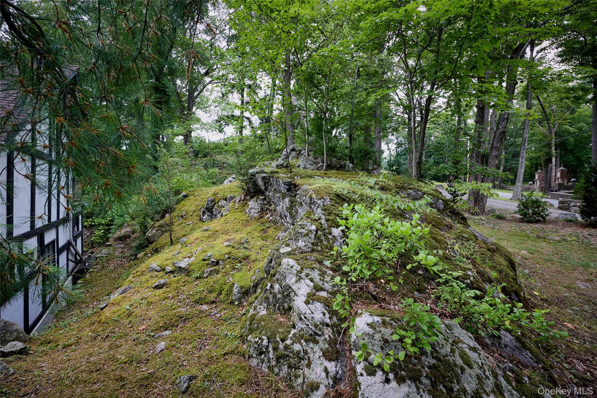 93 Circuit Road Tuxedo Park, NY 10987 - Photo 33 of 34 View of yard with a forest view