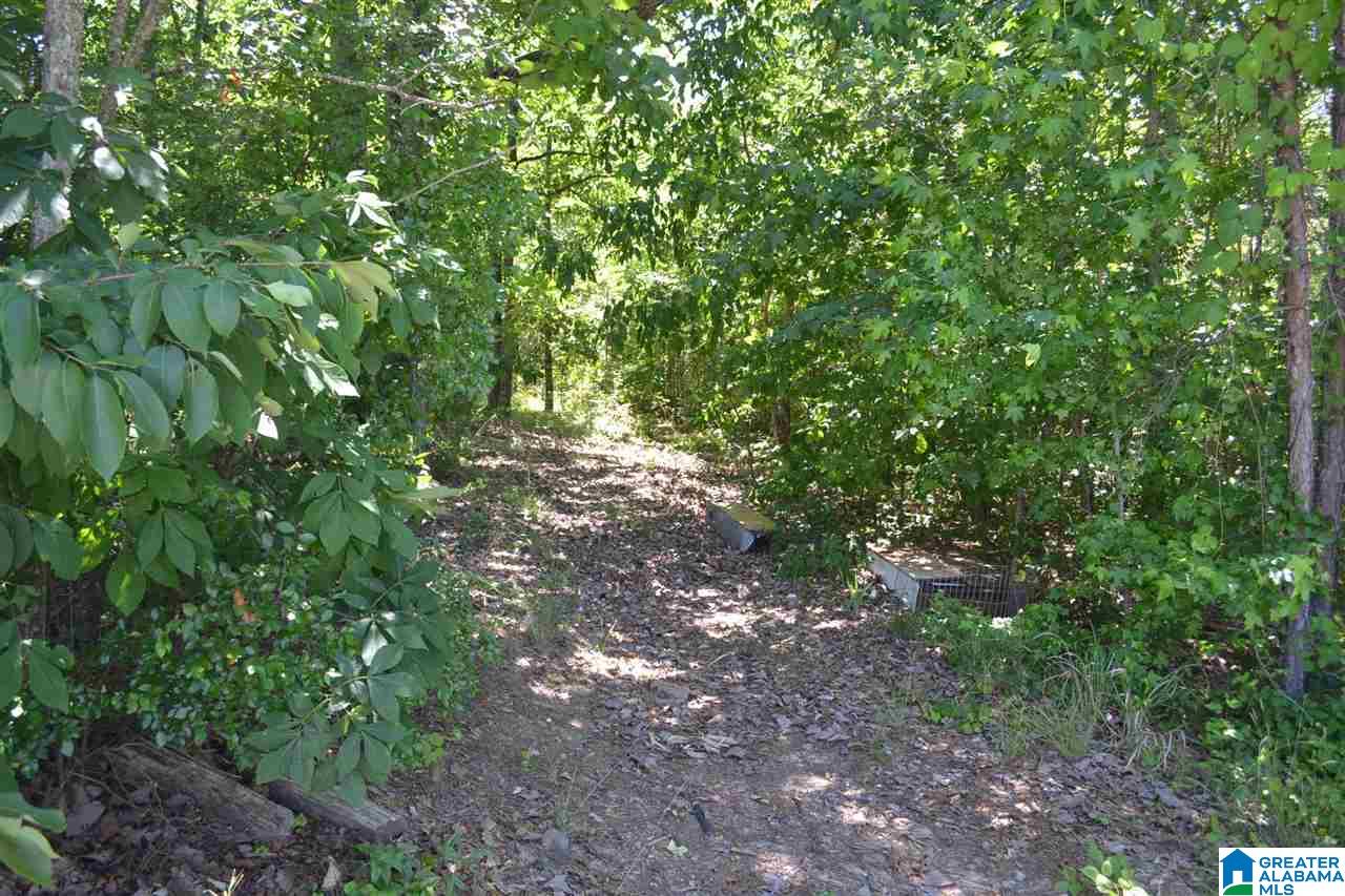 300 Williamsburg Road Altoona, AL 35952 - Photo 34 of 38