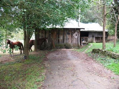 772 Whetstone Branch Road Campton, KY 41301 - Photo 53 of 53 Photo 53