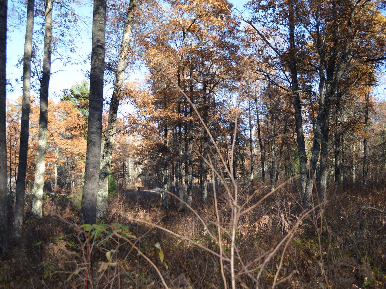 Lot 12 Wind Song Road Tomahawk, WI 54487 - Photo 15 of 20 Gallery Image 15