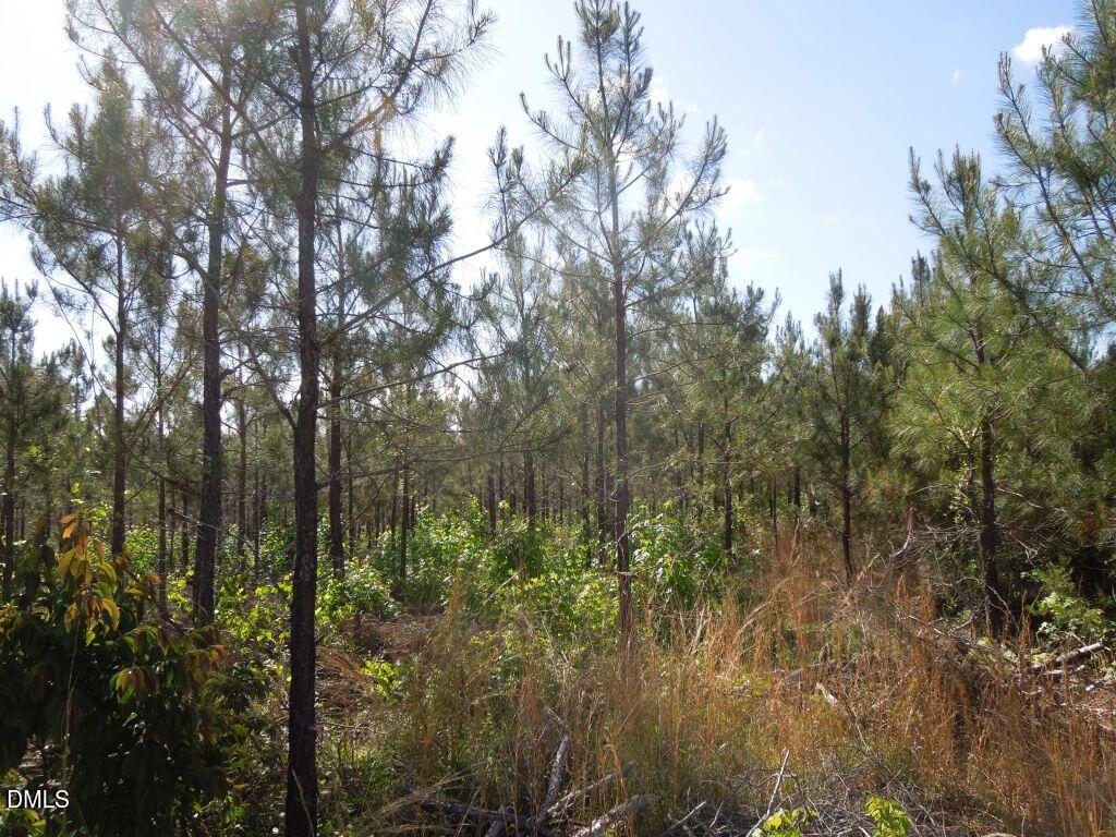 0 River Road Henrico, NC 27842 - Photo 20 of 33 DSCN0570