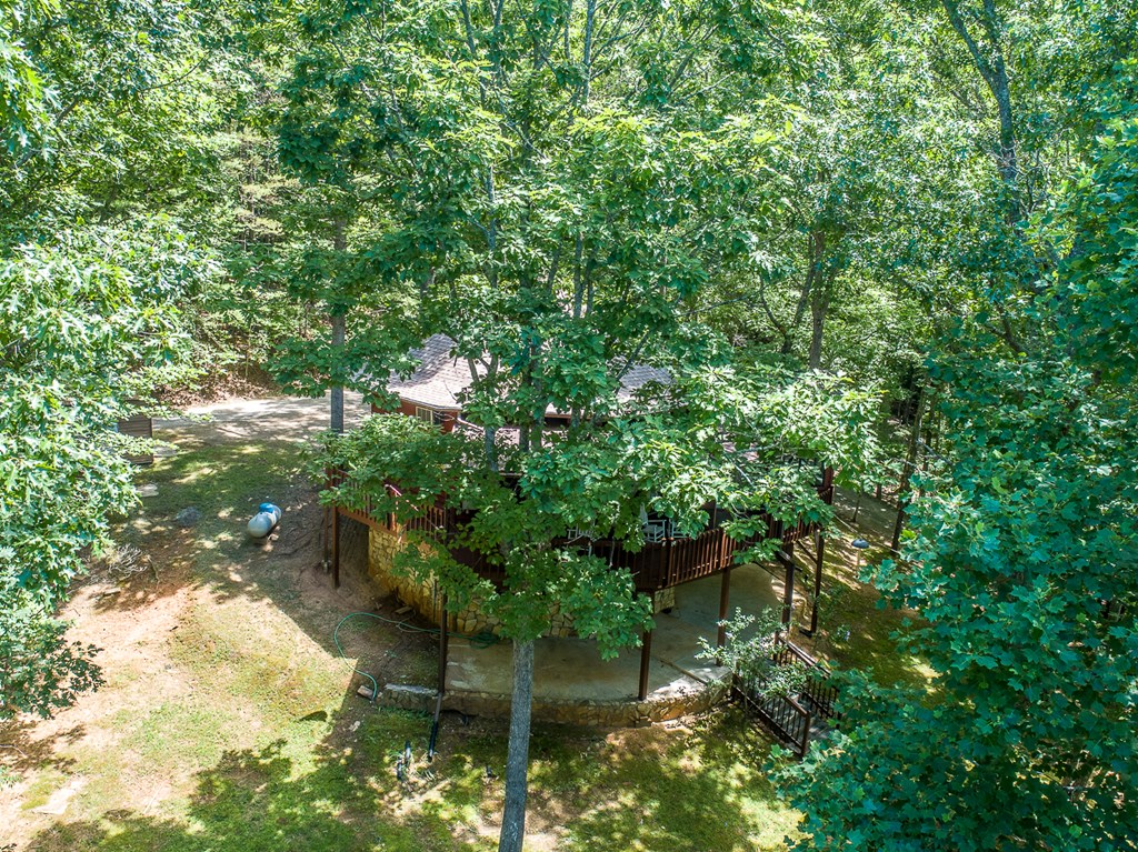 371 Persimmon Hts Road Murphy, NC 28906 - Photo 8 of 51 Gallery Image 8