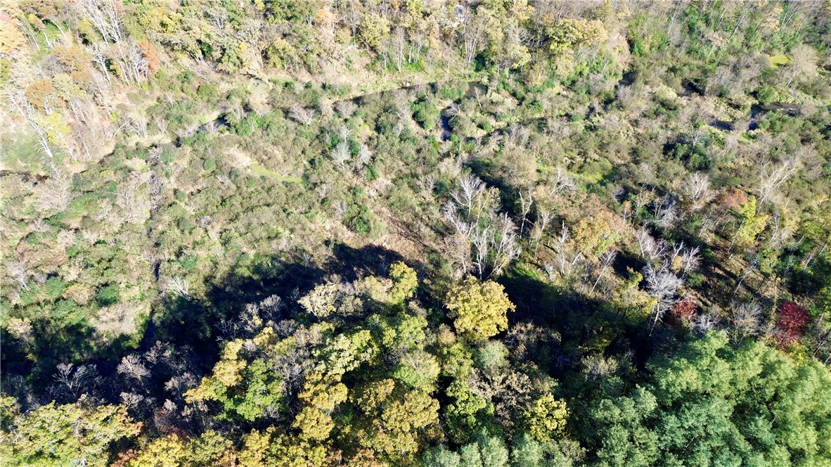 0 South Lowes Creek Road Eau Claire, WI 54701 - Photo 6 of 59