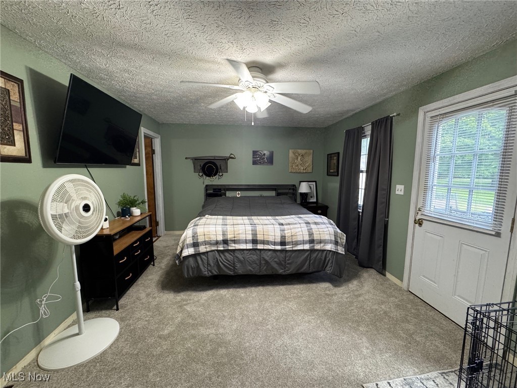 5322 Lockwood Road Madison, OH 44057 - Photo 24 of 30 First floor bedroom with new carpet and a ceiling fan