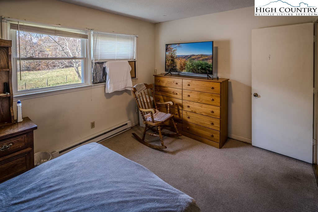 309 Buffalo Meadows Road West Jefferson, NC 28694 - Photo 31 of 49