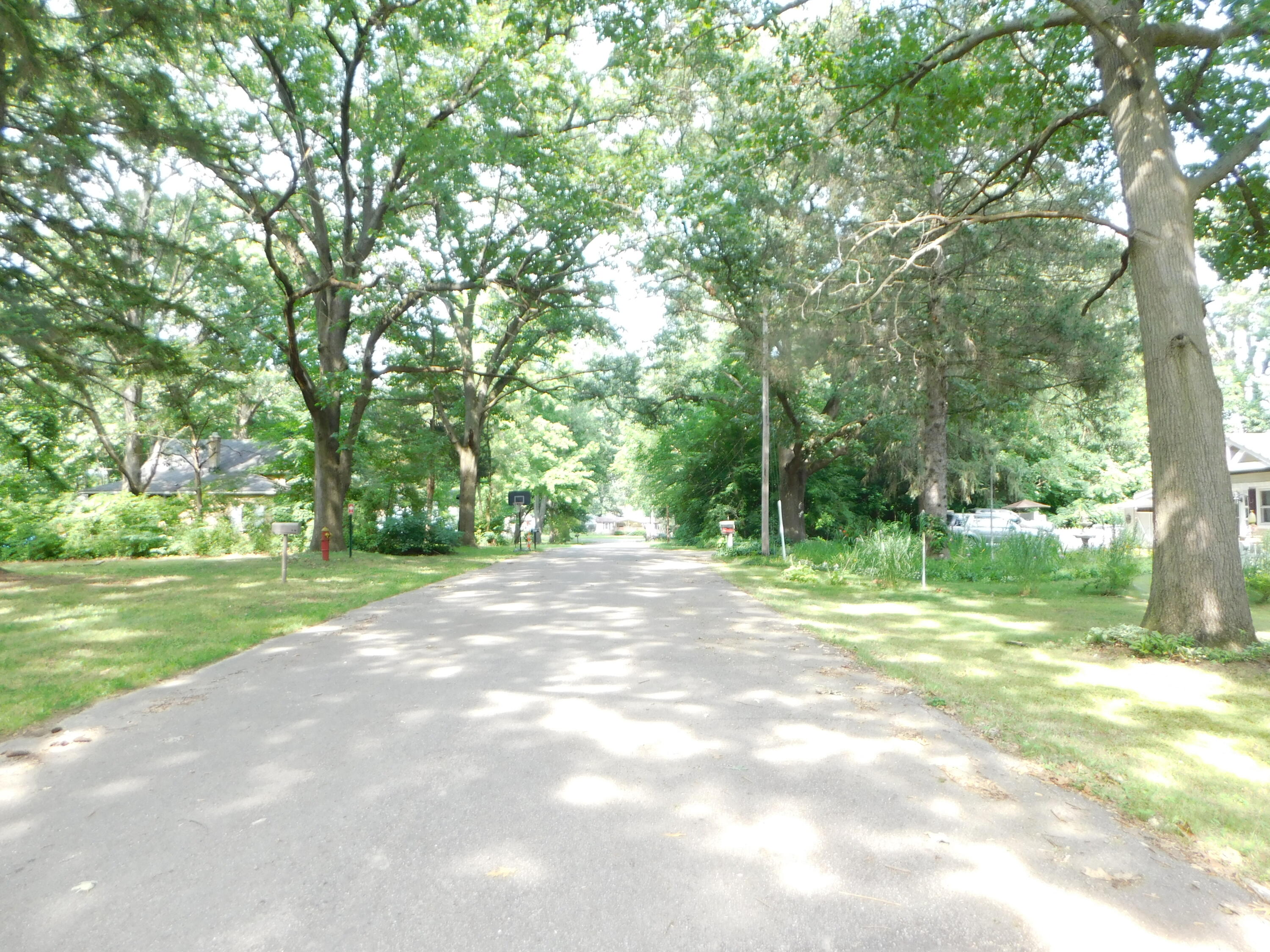 Vl Hill Street Decatur, MI 49045 - Photo 4 of 4 Hill Street view