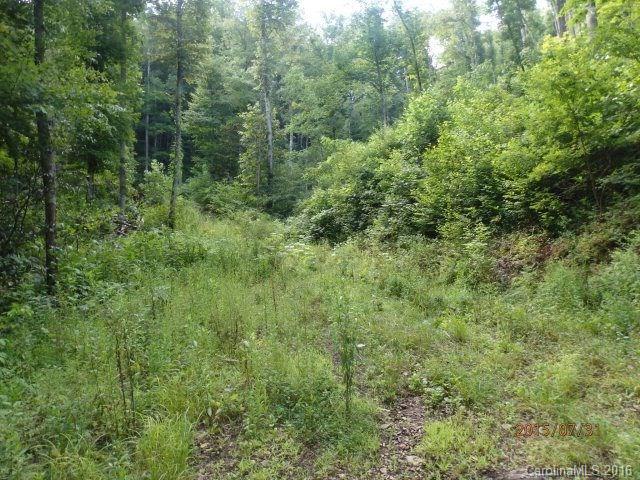 4 Balsam Ridge Road Waynesville, NC 28786 - Photo 1 of 5 a view of a lush green forest