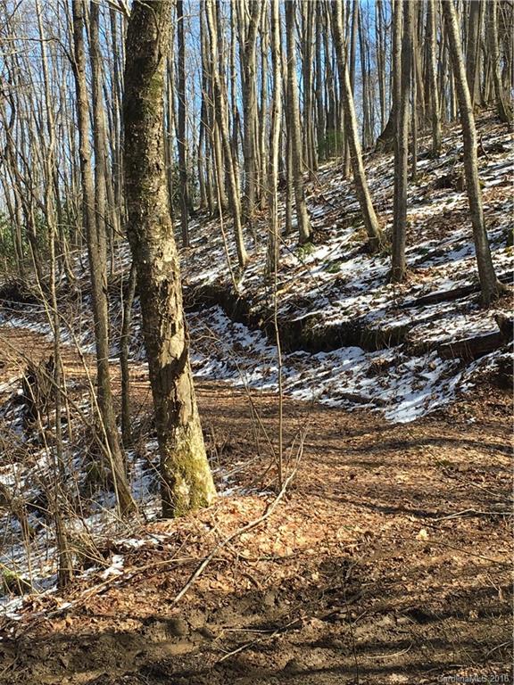 4 Balsam Ridge Road Waynesville, NC 28786 - Photo 2 of 5